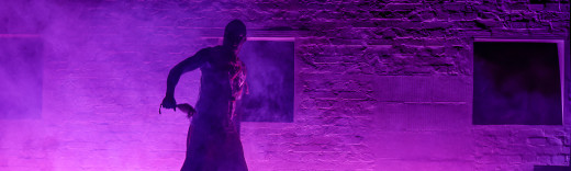 Aufnahme von der Theaterperformance von "de Expatriates"