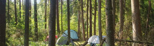 Jugendcamp Schleswig-Holstein_1