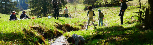 Ein Bild in der Natur, ein Bach, einige Kinder und Jugendliche