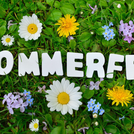 Sommerfest